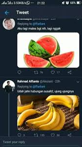  Pin Oleh Ratih Angela Di Useless Kutipan Lucu Kutipan Lelucon Kutipan Humor