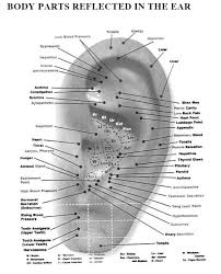 reflex points in the ears 14 learn self healing techniques