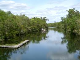 St Marks St Marks River Fl Weather Tides And Visitor