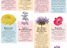 But when we read about the flowers that heal, we can't just end our discussion without talking about calendula flowers. Flowers And Their Symbolism