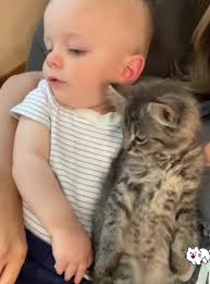 15 Month Old and Kitty