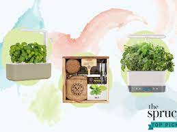 The 9 Best Herb Garden Kits Of 2021