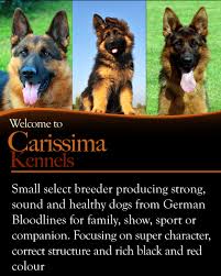 We did not find results for: Carissima Kennels