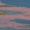 Lake naivasha resort (lnr) is a great escape located on moi south lake road just steps off the beautiful lake naivasha, kenya. 1