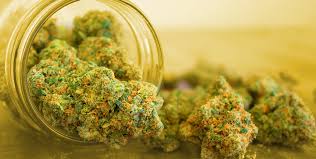 The 10 Best Cbd Flower Strains In The Uk Candid