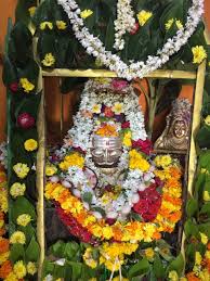 Sarpa Dosha Nivarana Pooja in Hyderabad