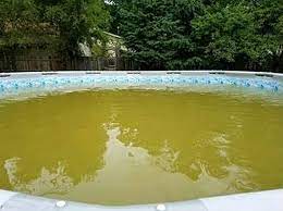 Swimming Pool Care Basic Pool Care Above Ground Pool Maintenance Inground Salt Water Green Pools Algae Green Swimming Pool Saltwater Pool Pool Care Pool