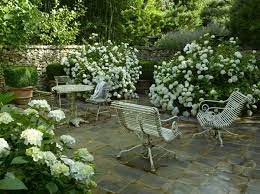 garden jardins agapanthe grigneuseville normandie alexandre thomas landscape white gardens outdoor gardens patio garden