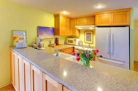 This kitchen has the loveliest shade of buttery yellow on the walls, and it looks beautiful paired with the lush shade of green that covers the fridge and is seen throughout the space. 50 Yellow Kitchen Ideas Photos Home Stratosphere