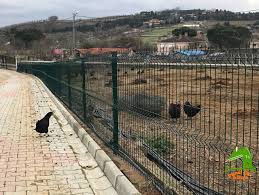 (5 li kalıp 9.5 lira) ham halde kavak ağacı aldım. Bahce Etrafi Cevirme Yontemleri