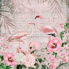 Pink Flamingo Flowers Mural By Andrea Haase Wallsauce De Flower Mural Mural Wallpaper Pink Flamingos