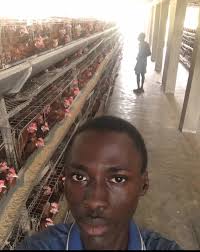 At my backyard I rap some net round some space and allow my birds to free  range. This is very suitable for rented apartments, so you don't have an  excuse not to