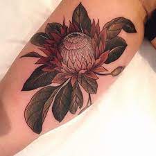 Sophia Baughan On Instagram King Protea Tattoo Models Flower Tattoo Tattoos