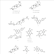 Image result for Antherotoma senegambiensis