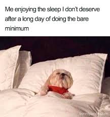 There are the best funny memes, photos, videos about bed 40 Of The Funniest Sleeping Memes Ever Bored Panda