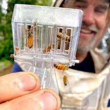 The Other Bee Guy LLC