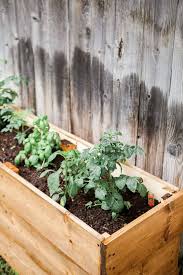 Our diy hanging herb garden can be constructed for less than $30 in a single afternoon. Diy Wooden Herb Garden Planters For Less Than 100 College Housewife