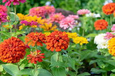 Kids Garden Hour (ages 5 and under)