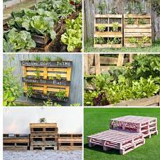 We did not find results for: 11 Tips To Make The Most Of Your Pallet Garden