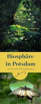 Fotoguide Biosphare In Potsdam Und Die Besten Fotomotive Potsdam Urbane Fotografie Fotografie