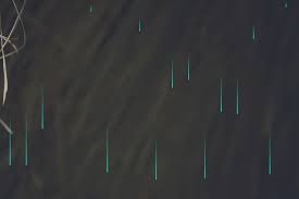 Surf the dogvideosrainy days part one. Rainy Days Rainmeter Skin