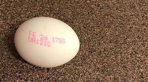 Foods with expired sell by dates can still be at their best quality and safe to eat if stored properly. Is The Date Stamped On My Egg Carton A Quot Best Before Quot Or An Quot Expiry Quot Date Can I Still Use Eggs For Baking Past A Best Before Date Get Cracking