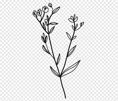 Gambar kartun ikan hitam putih keren bestkartun gambar pemandangan kartun hitam putih koleksi gambar terbaik buku cerita hitam putih ketika tuhan membuat segala Bunga Hitam Putih Ranting Batang Tanaman Daun Garis Tumbuhan Flora Hitam Dan Putih Hitam Hitam Dan Putih Cabang Png Pngwing