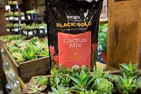 The fact that palms and citrus would do well in if its humus(black top soil potted in bags), it ranges around 20%. Black Gold Cactus Mix Vs Potting Soil Down To Earth Home Garden And Gift
