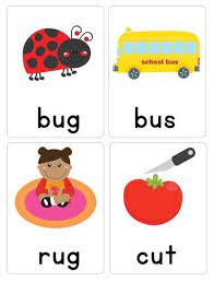 cvc word flash cards kindergarten sight words vocabulary chapter 4 us history quizlet