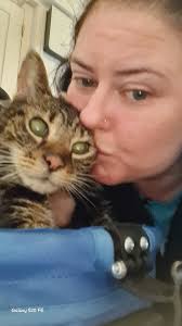 West Gate Vet in Enterprise highly recommended