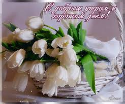 открытки с добрым утром и хорошим днем скачать бесплатно Https Encrypted Tbn0 Gstatic Com Images Q Tbn 3aand9gcqfaq3jemi46nhnkwupkbajgff247cvtaqtow Usqp Cau