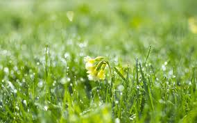 Lista coduri caen actualizata 2018 rev 2. AutorizaÈia De Mediu Lista De Coduri Caen