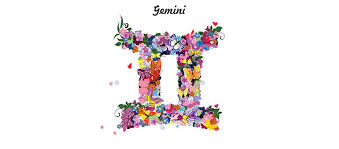 Facts (gemini) vs knowledge (sagittarius). Gemini June 2021 Cozy By Sweet Starlight