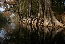 It starts in the sangre de cristo mountain range and passes through the state capital. Our Santa Fe River Inc Reviews And Ratings High Springs Fl Donate Volunteer Review Greatnonprofits
