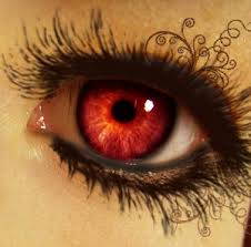 You Go Talk To Your Friends Talk To My Friends Talk To Me Taylor Swift We Are Never Ever Mein Auge Ist Rot Rot Wenn Es Wenigstens Pink Ware Aber