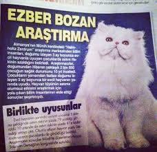 Astim Alerji Kedi Dost Veteriner Klinigi Corlu Facebook