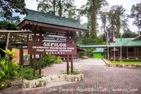 Sudah pasti kerana keindahan flora dan fauna yang pasti akan memukau pandangan anda. Tempat Tempat Menarik Di Sabah Blog Sihatimerahjambu