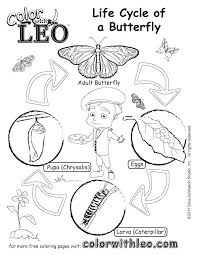 Supercoloring.com is a super fun for all ages: Coloring Pages Butterfly Life Cycle Coloring Coloringbay Coloring Library