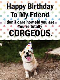 These happy birthday corgi portraits were photographed and then printed on both sides onto heavy card stock for stability and durability. You Re Corgeous Funny Birthday Card For Friends Birthday Greeting Cards By Davia