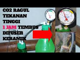Dari keseluruhan proses tersebut juga dibutuhkan ketelitian dan konsistensi yang baik dalam penerapannya. Racikan Co2 Ragul Awet Sampe 1 Bulan Litetube
