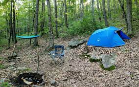 There seems to be a lawlessness with speed limit on the camping loop. Site 219 At Locust Lake State Park Pa For My First Solo Trip Campground Worker Tried To Talk Me Out Of It Because It Was Secluded And Up A Hill But