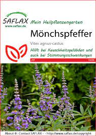 Und auch nicht in der schwangerschaft und der stillzeit, da die. Monchspfeffer Krautersamen Von Saflax Samenhaus Samen Samereien