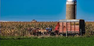 We did not find results for: Our Town Nappanee