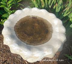 Use these designs to get your imagination going and come up with your own creations. Testing Alka Seltzer And Copper To Clean A Bird Bath