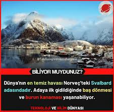 Mehmet Yigit Adli Kullanicinin Biliyor Muydunuz Panosundaki Pin 2020 Bilgi Alintilari Bilgi Karti Resimli Alintilar