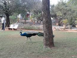 Image result for kbr park hyderabad