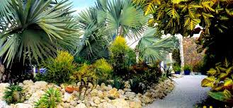 Maybe you would like to learn more about one of these? Tropical Garden Design Malaysia All Time Favorite Scapexpert