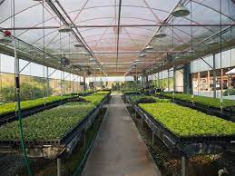 Maybe you would like to learn more about one of these? Operational Plant Nursery Lot For Sale In Emerson Bartow County Georgia 192043 Lotflip