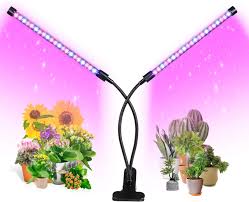 I am not worries about budget right now just want to know what is most cost effective with good result, assuming we'll run these lights for 2 years. Best Cheap Grow Light 2021 Reviews