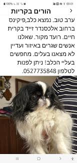 טובה ברוך